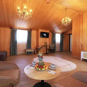https://almircan-hotel.hotelstrabzon.net
